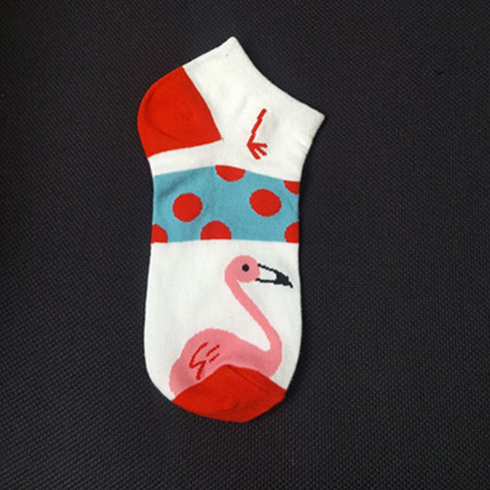 5 Stück Damen Baumwoll-Kurzsoc – Invisibility Sock Loafer Bewertung und Preis